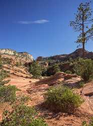 Zion National Park Mount Carmel Utah Autumn Red Fine Art Photo Landscape Grass - 015174 - 29-09-2014 - 7087x9602 Pixel Zion National Park Mount Carmel Utah Autumn Red Fine Art Photo Landscape Grass Famous Fine Art Photographers Prints For Sale Order Sea Outlook Fine Art...