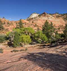 Zion National Park Mount Carmel Utah Autumn Red Landscape Photography Shoreline - 015175 - 29-09-2014 - 7315x7708 Pixel Zion National Park Mount Carmel Utah Autumn Red Landscape Photography Shoreline Famous Fine Art Photographers Art Photography For Sale Town Color Coast Beach...