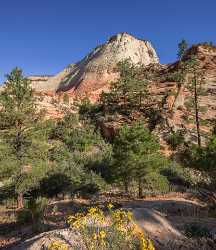 Zion National Park Mount Carmel Utah Autumn Red City Fine Art Snow Forest Town - 015181 - 29-09-2014 - 7296x8425 Pixel Zion National Park Mount Carmel Utah Autumn Red City Fine Art Snow Forest Town Fine Art Prints For Sale Prints For Sale Fine Art Photography For Sale Fine Art...