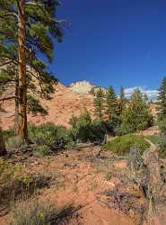 Zion National Park Mount Carmel Utah Autumn Red Fine Art Leave Pass Coast Ice Flower Spring - 015186 - 29-09-2014 - 7220x9778 Pixel Zion National Park Mount Carmel Utah Autumn Red Fine Art Leave Pass Coast Ice Flower Spring Fine Art America Fine Art Photography Prints Beach Nature Art...