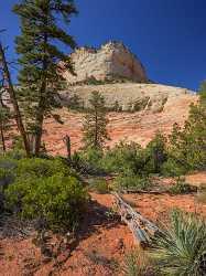 Zion National Park Mount Carmel Utah Autumn Red Summer Beach Order Animal Nature Fog Sky Spring - 015187 - 29-09-2014 - 7211x9662 Pixel Zion National Park Mount Carmel Utah Autumn Red Summer Beach Order Animal Nature Fog Sky Spring Fine Art Posters Leave Image Stock Fine Art Printer Fine Art...