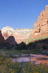 Springdale Zion National Park Utah The Grotto Scenic Art Photography For Sale Sunshine Stock Image - 008670 - 08-10-2010 - 4189x7543 Pixel Springdale Zion National Park Utah The Grotto Scenic Art Photography For Sale Sunshine Stock Image River Fine Art Foto Fine Art Photographer Fine Art Landscape...