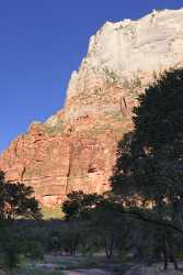 Springdale Zion National Park Utah The Grotto Scenic Fine Art Pictures Fine Art Photography Prints - 008672 - 08-10-2010 - 4262x9385 Pixel Springdale Zion National Park Utah The Grotto Scenic Fine Art Pictures Fine Art Photography Prints Fine Art America Fine Art Prints Photo Fine Art Barn...