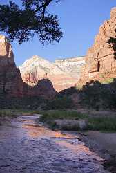 Springdale Zion National Park Utah The Grotto Scenic Forest Fine Art Pictures Barn Tree Photography - 008675 - 08-10-2010 - 4390x6529 Pixel Springdale Zion National Park Utah The Grotto Scenic Forest Fine Art Pictures Barn Tree Photography Pass Fine Art Photography Prints For Sale Outlook Fine Art...