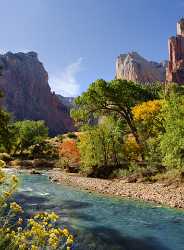 Zion National Park Utah Springdale Floor Valley Scenic Sale Fine Art Photography For Sale Shoreline - 009452 - 12-10-2011 - 4950x6729 Pixel Zion National Park Utah Springdale Floor Valley Scenic Sale Fine Art Photography For Sale Shoreline Stock Leave Stock Images Fine Art America Fine Art...