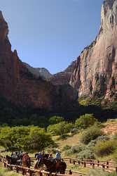 Zion National Park Utah Springdale Floor Valley Scenic Sale Fine Art Photographer Stock Images - 009455 - 12-10-2011 - 4830x8518 Pixel Zion National Park Utah Springdale Floor Valley Scenic Sale Fine Art Photographer Stock Images Modern Wall Art Fine Art Foto Shoreline Fine Arts Photography...