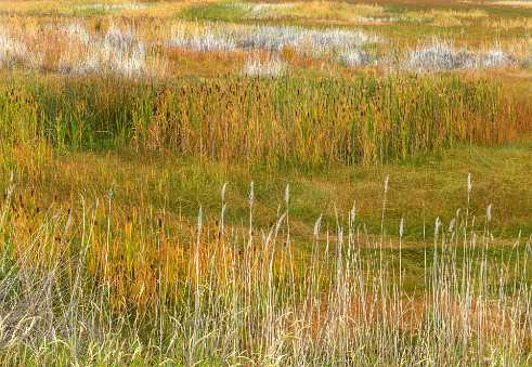 Bear Lake Bear Lake - Panoramic - Landscape - Photography - Photo - Print - Nature - Stock Photos - Images - Fine Art Prints -...