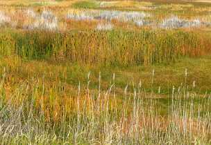 Bear Lake Bear Lake - Panoramic - Landscape - Photography - Photo - Print - Nature - Stock Photos - Images - Fine Art Prints -...