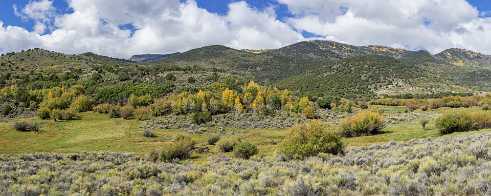 Bear Valley Road Bear Valley Road - Panoramic - Landscape - Photography - Photo - Print - Nature - Stock Photos - Images - Fine Art...