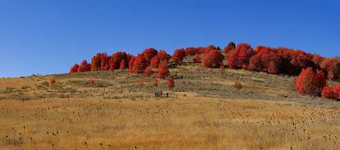 Brigham City Brigham City - Panoramic - Landscape - Photography - Photo - Print - Nature - Stock Photos - Images - Fine Art Prints -...