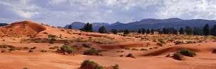 Coral Pink Sand Dunes Coral Pink Sand Dunes - Panoramic - Landscape - Photography - Photo - Print - Nature - Stock Photos - Images - Fine Art...