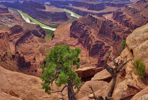 Dead Horse Point Dead Horse Point State Park - Panoramic - Landscape - Photography - Photo - Print - Nature - Stock Photos - Images -...