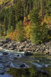 Wenatchee River Laevenworth Washington Autumn Color Tree Forest Summer Art Printing View Point - 022519 - 03-10-2017 - 7594x11626 Pixel Wenatchee River Laevenworth Washington Autumn Color Tree Forest Summer Art Printing View Point Grass Photo Park Prints Flower What Is Fine Art Photography Fine...