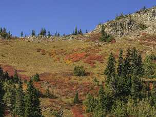 Chinook Pass