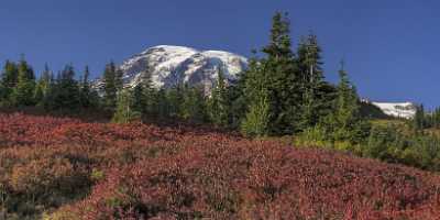 Paradise Point Longmire Mt Rainer Nationalpark Washington Autumn Nature Cloud - 022438 - 04-10-2017 - 16697x7139 Pixel Paradise Point Longmire Mt Rainer Nationalpark Washington Autumn Nature Cloud Fine Art Photography Galleries Fine Art Fine Art Landscape Western Art Prints For...