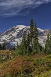 Paradise Point Longmire Mt Rainer Nationalpark Washington Autumn Fine Art Nature Photography - 022441 - 04-10-2017 - 7520x16524 Pixel Paradise Point Longmire Mt Rainer Nationalpark Washington Autumn Fine Art Nature Photography Stock Photos Park Art Photography For Sale Landscape Photography...