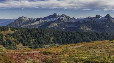 Paradise Point Longmire Mt Rainer Nationalpark Washington Autumn Modern Art Prints Tree - 022447 - 04-10-2017 - 13725x7617 Pixel Paradise Point Longmire Mt Rainer Nationalpark Washington Autumn Modern Art Prints Tree Fine Art Photography Galleries Fine Arts Photo Fine Art Fine Art...