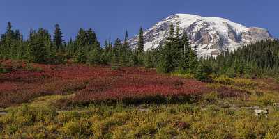 Paradise Point Longmire Mt Rainer Nationalpark Washington Autumn Images Country Road Fog - 022452 - 04-10-2017 - 19195x7157 Pixel Paradise Point Longmire Mt Rainer Nationalpark Washington Autumn Images Country Road Fog Art Photography Gallery Animal Rock Fine Art Posters Fine Art...