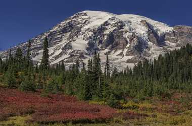 Paradise Point Longmire Mt Rainer Nationalpark Washington Autumn Stock Photos River Senic Color - 022454 - 04-10-2017 - 7570x4985 Pixel Paradise Point Longmire Mt Rainer Nationalpark Washington Autumn Stock Photos River Senic Color Leave Mountain Grass Summer Fine Art Printing Cloud Fine Art...