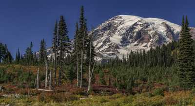 Paradise Point Longmire Mt Rainer Nationalpark Washington Autumn Art Photography For Sale Spring - 022455 - 04-10-2017 - 10869x5919 Pixel Paradise Point Longmire Mt Rainer Nationalpark Washington Autumn Art Photography For Sale Spring Stock Images Stock Image Art Prints Fine Art Landscapes...