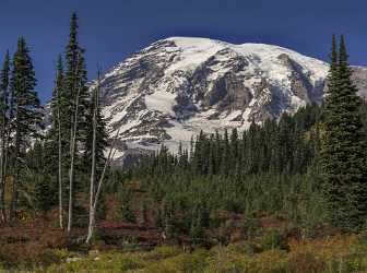 Paradise Point Longmire Mt Rainer Nationalpark Washington Autumn Senic Tree View Point - 022456 - 04-10-2017 - 7714x5735 Pixel Paradise Point Longmire Mt Rainer Nationalpark Washington Autumn Senic Tree View Point Fine Art Fotografie Country Road Fine Art Pictures City Fine Art...