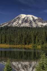 Reflection Lake Longmire Mt Rainer Nationalpark Washington Autumn Fine Art Prints For Sale Nature - 022467 - 04-10-2017 - 7574x16092 Pixel Reflection Lake Longmire Mt Rainer Nationalpark Washington Autumn Fine Art Prints For Sale Nature Tree Shoreline Rain Fine Art Photography Gallery Forest Fine...