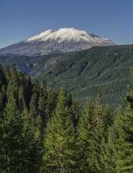 Northwoods Mount St Helens National Volcano Monument Forest Rain Fine Art Pictures Images - 022434 - 05-10-2017 - 7904x10242 Pixel Northwoods Mount St Helens National Volcano Monument Forest Rain Fine Art Pictures Images Image Stock Hi Resolution Nature Fine Art Foto Town Fine Art Giclee...