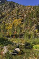 Wenatchee River Winton Washington Autumn Color Tree Forest Rain Fine Art Fotografie - 022510 - 03-10-2017 - 7320x13703 Pixel Wenatchee River Winton Washington Autumn Color Tree Forest Rain Fine Art Fotografie Art Prints For Sale Prints Fine Art Posters Island Snow Modern Art Print...