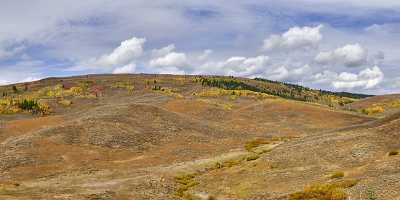 Afton Wyoming Tree Autumn Color Colorful Fall Foliage Fine Art Fine Art Photographer Panoramic - 011410 - 24-09-2012 - 20680x6966 Pixel Afton Wyoming Tree Autumn Color Colorful Fall Foliage Fine Art Fine Art Photographer Panoramic Nature Prints Stock Photos Mountain Animal Fine Art Landscape...