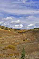 Afton Wyoming Tree Autumn Color Colorful Fall Foliage Stock Pictures Outlook Fine Art Photographers - 011411 - 24-09-2012 - 7376x12816 Pixel Afton Wyoming Tree Autumn Color Colorful Fall Foliage Stock Pictures Outlook Fine Art Photographers Country Road Fine Art Photography Galleries Fine Arts...