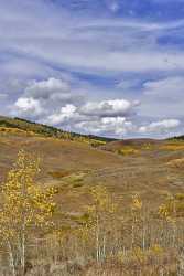 Afton Wyoming Tree Autumn Color Colorful Fall Foliage Summer Pass Fine Art Photography Island - 011413 - 24-09-2012 - 7252x14137 Pixel Afton Wyoming Tree Autumn Color Colorful Fall Foliage Summer Pass Fine Art Photography Island Fine Art Pictures What Is Fine Art Photography Fine Art America...