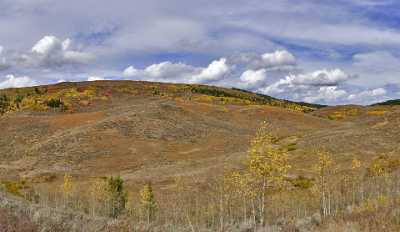 Afton Wyoming Tree Autumn Color Colorful Fall Foliage Art Prints For Sale Fine Art Posters Stock - 011414 - 24-09-2012 - 16954x9842 Pixel Afton Wyoming Tree Autumn Color Colorful Fall Foliage Art Prints For Sale Fine Art Posters Stock What Is Fine Art Photography Fine Art Print Fine Art Prints...