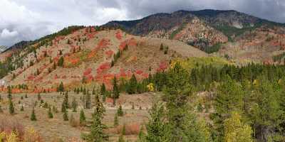 Alpine Wyoming River Tree Autumn Color Colorful Fall View Point Fine Art Posters Fine Art Photos - 011438 - 24-09-2012 - 24715x6967 Pixel Alpine Wyoming River Tree Autumn Color Colorful Fall View Point Fine Art Posters Fine Art Photos Fine Art Landscape Photography Prints For Sale Fine Art...