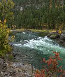 Alpine Wyoming River Tree Autumn Color Colorful Fall Summer Stock Photos Images - 015541 - 22-09-2014 - 6655x7769 Pixel Alpine Wyoming River Tree Autumn Color Colorful Fall Summer Stock Photos Images Fine Art Photography Galleries Fine Art Pictures Art Printing Forest Fine Art...