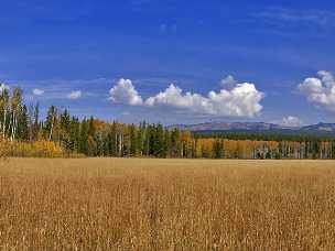 Arizona Creek