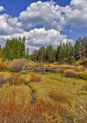 Jackson Hole Grand Teton National Park Wyoming Christian Fine Art Photos Art Photography Gallery - 011598 - 27-09-2012 - 7155x10111 Pixel Jackson Hole Grand Teton National Park Wyoming Christian Fine Art Photos Art Photography Gallery River Sky Prints Stock Images Island Fine Art Photo City...