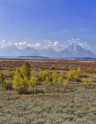 Jackson Hole Grand Teton National Park Wyoming Christian Shoreline Sale Winter Panoramic - 011661 - 28-09-2012 - 7250x9325 Pixel Jackson Hole Grand Teton National Park Wyoming Christian Shoreline Sale Winter Panoramic What Is Fine Art Photography Fine Art Photographer Fine Art Photography...