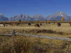 Elk Ranch Flats