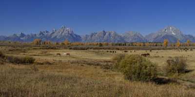 Elk Ranch Flats Grand Teton National Park Wyoming Fine Art Giclee Printing - 015380 - 25-09-2014 - 15242x6497 Pixel Elk Ranch Flats Grand Teton National Park Wyoming Fine Art Giclee Printing Fine Art Landscape Photography Art Prints Stock Pictures Island Color Coast Country...