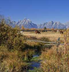 Elk Ranch Flats Grand Teton National Park Wyoming Fine Art Photographer Stock Images Lake Images - 015381 - 25-09-2014 - 6959x7236 Pixel Elk Ranch Flats Grand Teton National Park Wyoming Fine Art Photographer Stock Images Lake Images Fine Art Photography For Sale Landscape Photography Royalty...