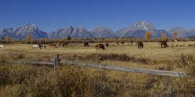 Elk Ranch Flats Grand Teton National Park Wyoming Cloud Fine Art Photography Prints For Sale - 015383 - 25-09-2014 - 18698x6120 Pixel Elk Ranch Flats Grand Teton National Park Wyoming Cloud Fine Art Photography Prints For Sale Fine Art Giclee Printing Western Art Prints For Sale Fine Art...