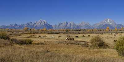 Elk Ranch Flats Grand Teton National Park Wyoming Leave Fine Art America - 015385 - 25-09-2014 - 14462x6617 Pixel Elk Ranch Flats Grand Teton National Park Wyoming Leave Fine Art America Fine Art Photography Gallery Landscape Photography Fine Art Landscape Photography...