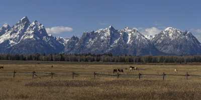 Grand Teton National Park Elk Ranch Flats Turnout Sunshine Modern Wall Art Ice Landscape - 022071 - 12-10-2017 - 28826x7247 Pixel Grand Teton National Park Elk Ranch Flats Turnout Sunshine Modern Wall Art Ice Landscape Fine Art Photos Famous Fine Art Photographers Fine Art Print Forest...