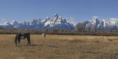 Grand Teton National Park Elk Ranch Flats Turnout Grass Prints For Sale Fine Art Photography Prints - 022072 - 12-10-2017 - 18210x6234 Pixel Grand Teton National Park Elk Ranch Flats Turnout Grass Prints For Sale Fine Art Photography Prints Outlook Town Fine Arts Photography Photography Fine Art...