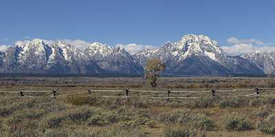 Grand Teton National Park Elk Ranch Flats Turnout Autumn Animal Flower Fine Art Pictures - 022084 - 12-10-2017 - 10640x4378 Pixel Grand Teton National Park Elk Ranch Flats Turnout Autumn Animal Flower Fine Art Pictures Modern Art Print Town Country Road Mountain Sale Fine Art Photography...