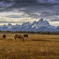 Grand Teton National Park Elk Ranch Flats Turnout Pass Rock Ice Art Prints For Sale - 022137 - 11-10-2017 - 7797x7861 Pixel Grand Teton National Park Elk Ranch Flats Turnout Pass Rock Ice Art Prints For Sale Fine Art Photography For Sale Barn Royalty Free Stock Images City Western...