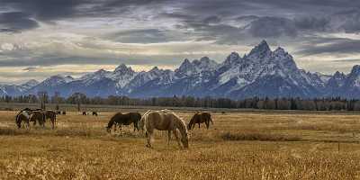 Grand Teton National Park Elk Ranch Flats Turnout Fine Art Pictures Snow Spring Hi Resolution - 022138 - 11-10-2017 - 13562x5453 Pixel Grand Teton National Park Elk Ranch Flats Turnout Fine Art Pictures Snow Spring Hi Resolution Stock Pictures Fine Art Photography Galleries Pass Animal Modern...