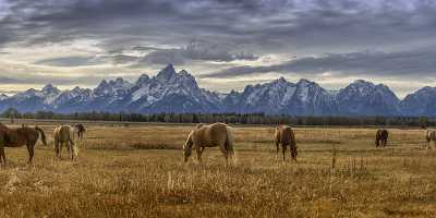 Grand Teton National Park Elk Ranch Flats Turnout Modern Art Prints Stock Photos Photo Fine Art - 022141 - 11-10-2017 - 22693x7731 Pixel Grand Teton National Park Elk Ranch Flats Turnout Modern Art Prints Stock Photos Photo Fine Art Country Road What Is Fine Art Photography Ice Fine Art...