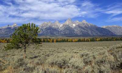 Glacier View Grand Teton Wyoming Tree Swamp Autumn Fine Art Printing Panoramic Leave Stock Images - 015469 - 24-09-2014 - 11495x6865 Pixel Glacier View Grand Teton Wyoming Tree Swamp Autumn Fine Art Printing Panoramic Leave Stock Images Photo Nature Fine Art America River Fine Art Pictures Prints...