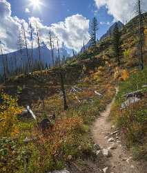 Jenny Lake Grand Teton Wyoming Tree Autumn Color Fine Art America Creek Town - 015502 - 23-09-2014 - 7223x8466 Pixel Jenny Lake Grand Teton Wyoming Tree Autumn Color Fine Art America Creek Town Fine Art Photography Gallery Fine Art Giclee Printing Coast Ice Sky Royalty Free...